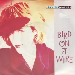 Jennifer Warnes - Bird On A Wire