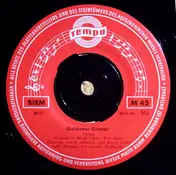 Harry Graf - Goldener Ginster