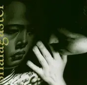 Jenny Scheinman - Shalagaster