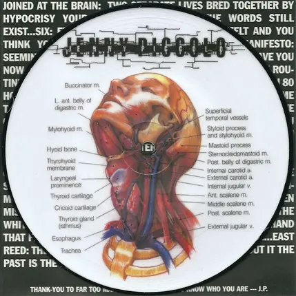 JENNY PICCOLO - Lowest Common Denominator