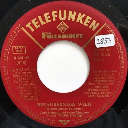 Jenö Nemeth Und Seine Zigeuner - Bezauberndes Wien