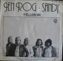 7inch Vinyl Single - Jen Rog - Sandy
