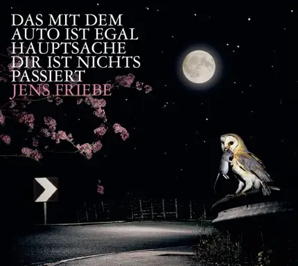 Jens Friebe - Das mit dem Auto ist egal Hauptsache Dir ist nichts passiert