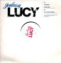 12inch Vinyl Single - Jealousy - Lucy