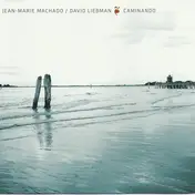 David Liebman - Caminando