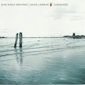 David Liebman - Caminando