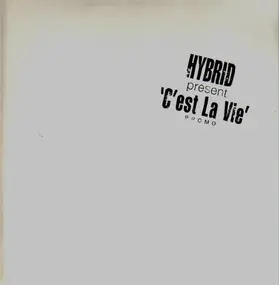 Jean-Michel Jarre - C'est La Vie