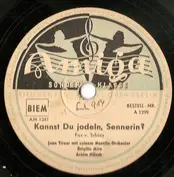 Jean Tireur Mit Seinem Musette-Orchester