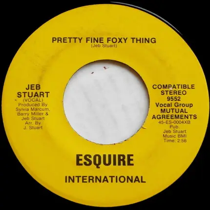 Jeb Stuart - Pretty Fine Foxy Thing / A Long Time Comin' Down