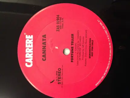 Jeff Cannata - Fortune Teller
