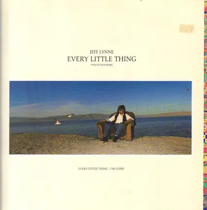 Jeff Lynne - Every Little Thing
