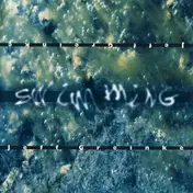 Jeff Greinke - Swimming