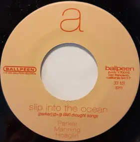 Barbara Manning - Slip Into The Ocean / Hummingbird