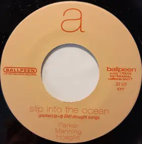 Barbara Manning - Slip Into The Ocean / Hummingbird
