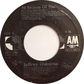 Jeffrey Osborne - All Because Of You