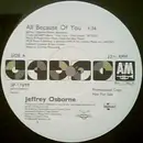 12inch Vinyl Single - Jeffrey Osborne - All Because Of You