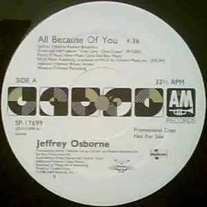 Jeffrey Osborne - All Because Of You