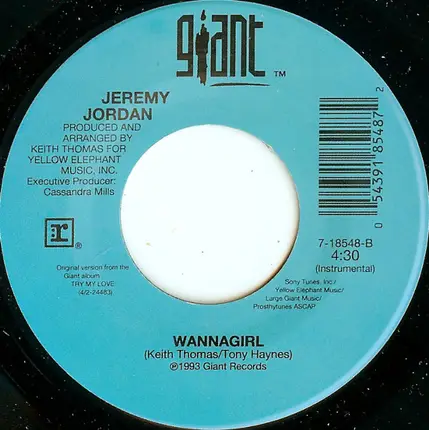 Jeremy Jordan - Wannagirl