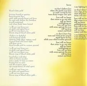 CD - Jeremy Toback - Perfect Flux Thing