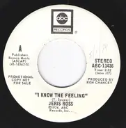 Jeris Ross - I Know The Feeling