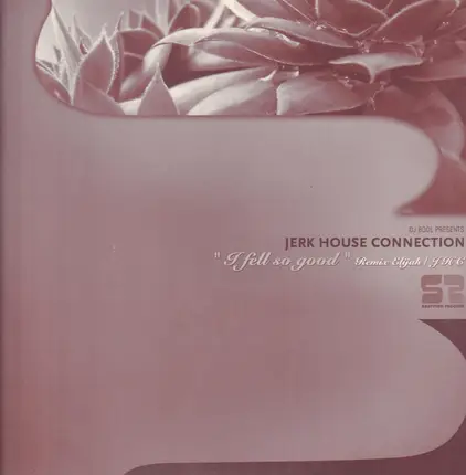 Jerk House Connection - I Feel So Good