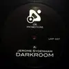 12inch Vinyl Single - Jerome Sydenham - Darkroom