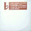 2 x 12inch Vinyl Single - Jerome Sydenham & Tiger Stripes - Elevation & F12 Remixes