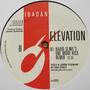 2 x 12inch Vinyl Single - Jerome Sydenham & Tiger Stripes - Elevation & F12 Remixes