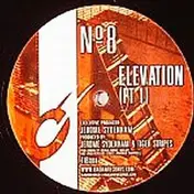 Jerome Sydenham & Tiger Stripes - Elevation Pt 1 & 2