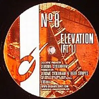 Jerome Sydenham & Tiger Stripes - Elevation Pt 1 & 2