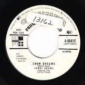 Jerri Adams - Snow Dreams / Guess I Had Too Much To Dream Last Night