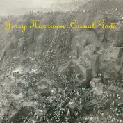 Jerry Harrison: Casual Gods