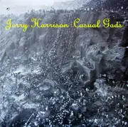 LP - Jerry Harrison: Casual Gods - Casual Gods - Still sealed