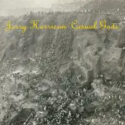 LP - Jerry Harrison : Casual Gods - Casual Gods