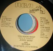 Jerry Reed And Seidina - You Know What