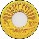 7inch Vinyl Single - Jerry Lee Lewis - I Can't Seem To Say Goodbye