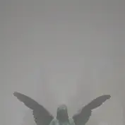 Avalanche Recordings / Cargo