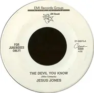 Jesus Jones - The Devil You Know / Zeroes And Ones