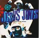 7inch Vinyl Single - Jesus Jones - Bring It On Down
