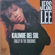 12inch Vinyl Single - Jess Lee - Kalimbe Del Sol (Valley Of The Sunshine)