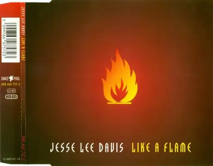 Jesse Lee Davis - Like A Flame