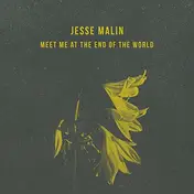 Jesse Malin - Meet Me At The End Of..