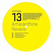 2 x 12inch Vinyl Single - Jesse Somfay - Amaranthine Reverie