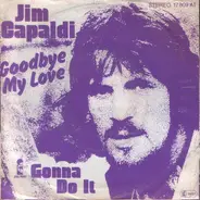 Jim Capaldi - Goodbye My Love