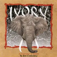Jim Centorino - Ivory, A Tribute to the Earth's Endangered Species