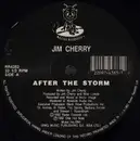 12inch Vinyl Single - Jim Cherry - After The Storm