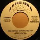 7inch Vinyl Single - Jim Gilstrap - Never Stop Your Loving Me (Never Stop)