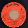 7inch Vinyl Single - Jim McCullough - I Want To Be You What I'd Like You To Be Me - Promo