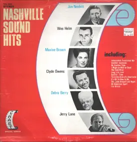 Jim Nesbitt - Nashville Sound Hits