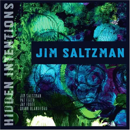 Jim Saltzman - Hidden Intentions